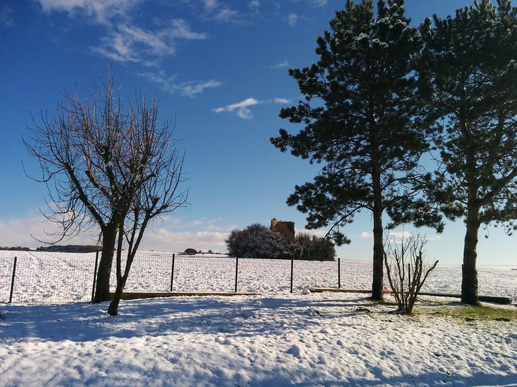 Appartement - Au Vieux Moulin Leulinghen-Bernes Ruang foto